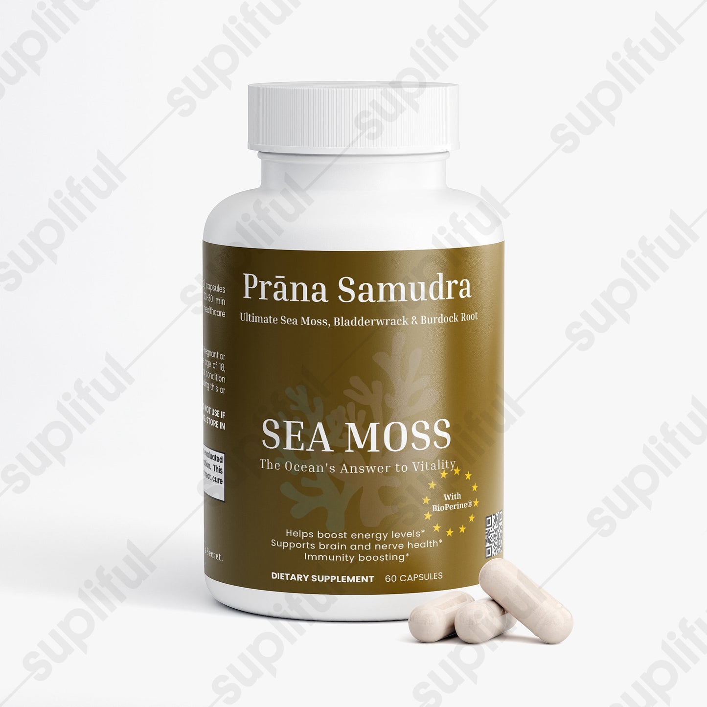Prāṇa Samudra | Sea Moss