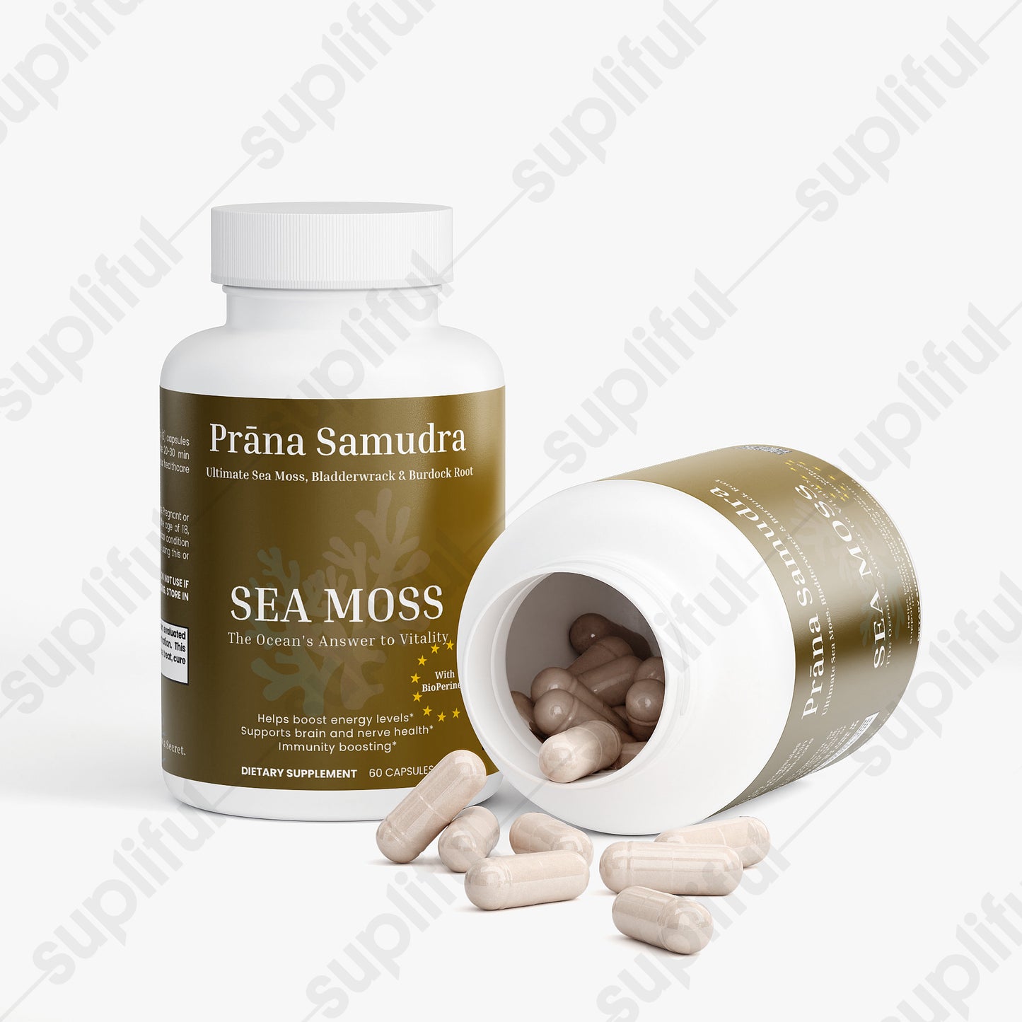 Prāṇa Samudra | Sea Moss