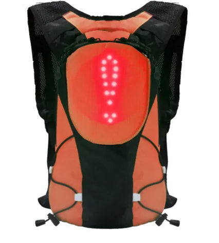 Safety Vest - for e-Delivery - with lighted Turn Signal