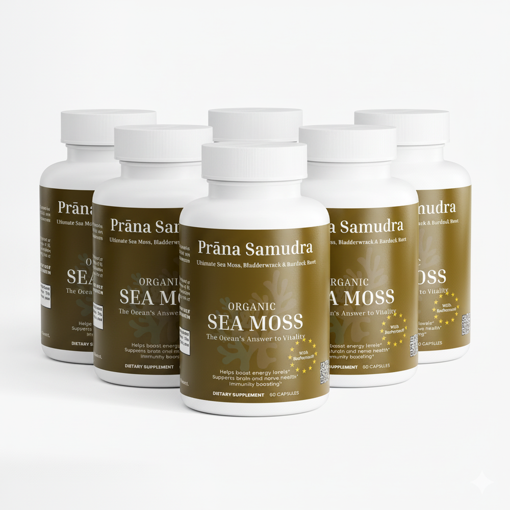 Prāṇa Samudra | Sea Moss (5 Pack)